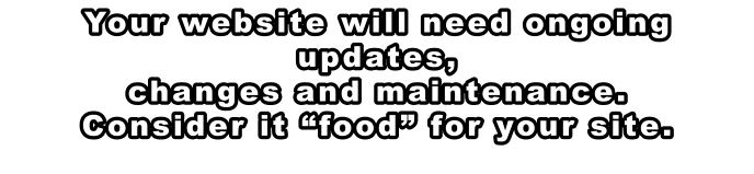 Your website will need ongoing updates,  changes and maintenance.  Consider it “food” for your site.